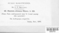 Image Associated With the Occurence